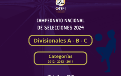 Campeonato Nacional de Selecciones 2024
