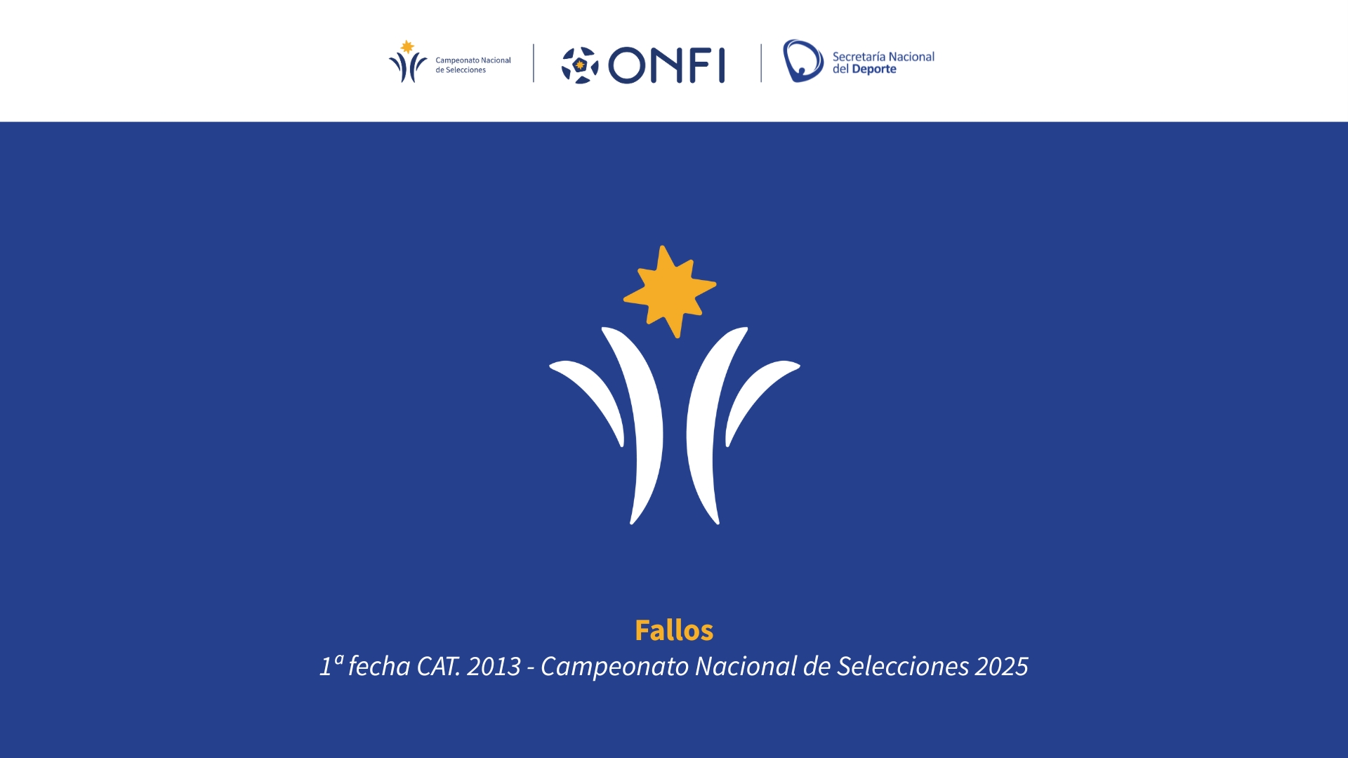 Fallos CNS