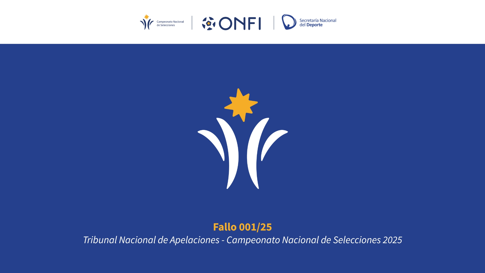 fallo_apelaciones_web