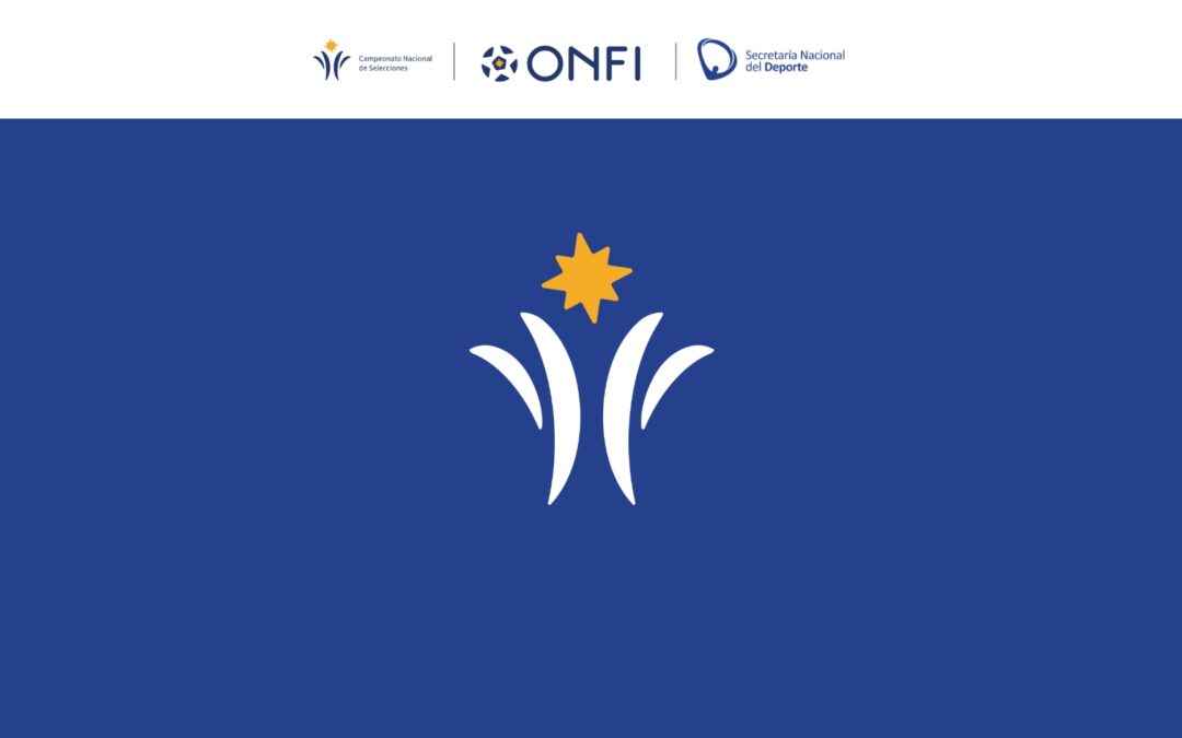 Clasificación oficial de la Categoría 2013 – Divisional B