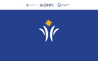 Clasificación oficial de la Categoría 2013 – Divisional B